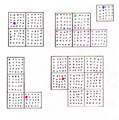 survey diagram of all islands